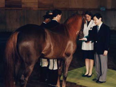 Their Imperial Highnesses the Crown Prince and Princess viewing the horse presented by His Majesty the late Sultan Qaboos bin Said